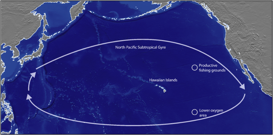 Noaa Scientists To Survey Remote Area In The North Pacific Subtropical Gyre Noaa Fisheries